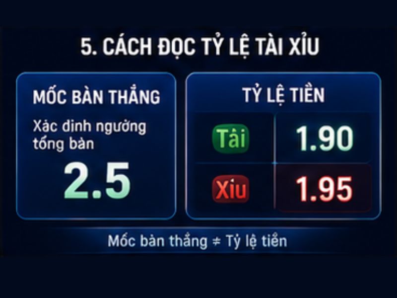 Cách Đọc Tỷ Lệ Tài Xỉu