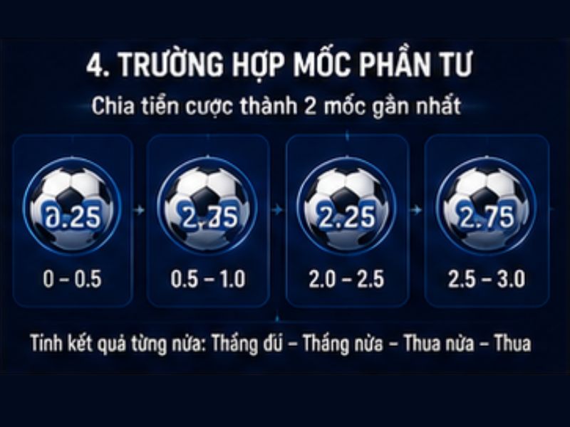 Trường hợp mốc phần tư